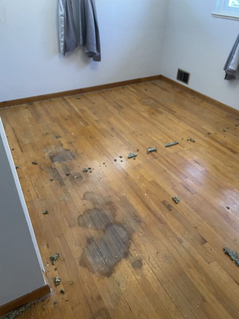 Empty room with stained wooden floor.